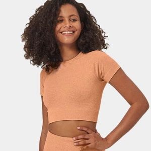 Seamless Flow Seamless Cropped Sports Top